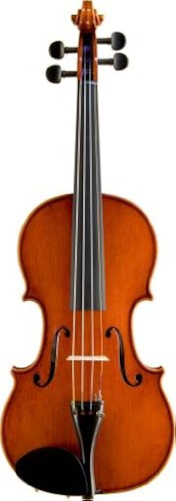 Amazon | SUZUKI No.540 4/4 バイオリン スズキ | バイオリン | 楽器
