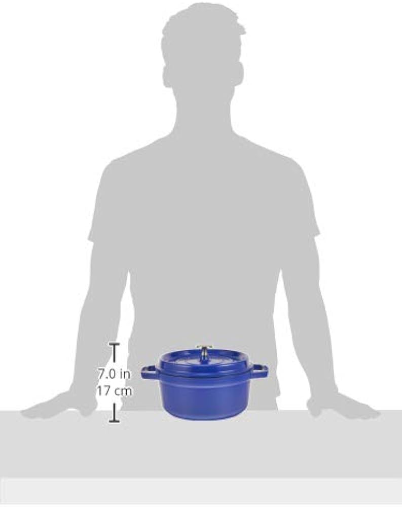 Amazon｜staub ストウブ 「 ピコ ココット ラウンド ブルーベリー 22cm