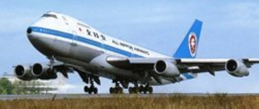 Amazon | ハセガワ 1/200 旅客機シリーズ 10603 ANA B747SR「モヒカン