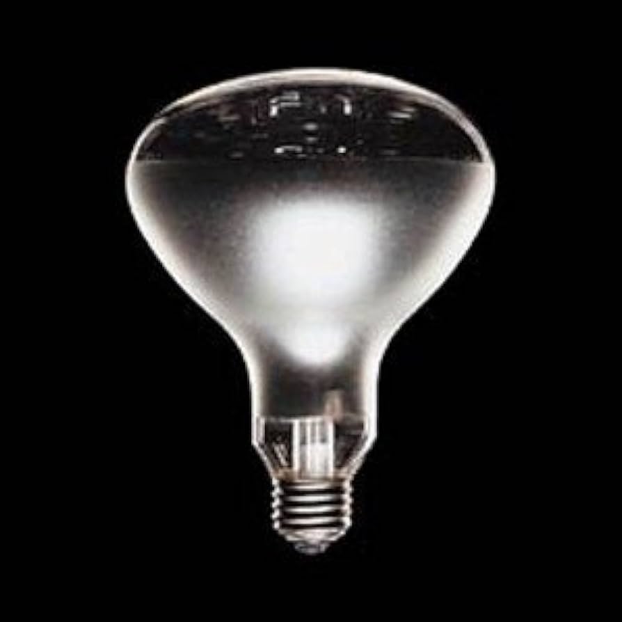 Amazon | 東芝 レフランプ 屋外用 300W形 RF110V270WHC | TOSHIBA(東芝