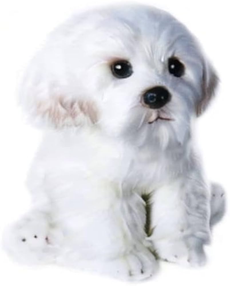 Amazon.co.jp: QREZAA 14インチ リアルなぬいぐるみ マルチーズドッグ