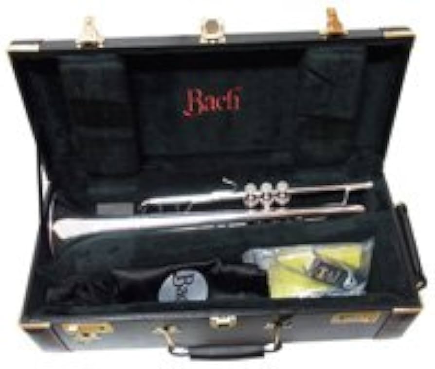 Amazon | ヴィンセント・バック（VINCENT・BACH） B♭トランペット