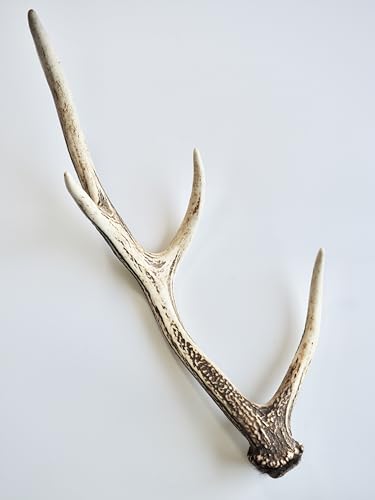 鹿の角 オブジェ」の人気商品一覧 | 安い商品を通販サイトから探す