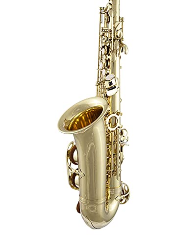 Amazon.com: Prelude Student Model AS711 Alto Saxophone by Conn