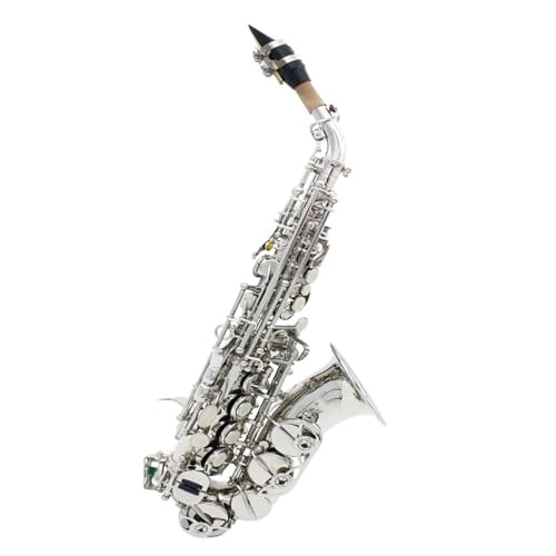 ソプラノサックス 初心者」の人気商品一覧 | 安い商品を通販サイトから