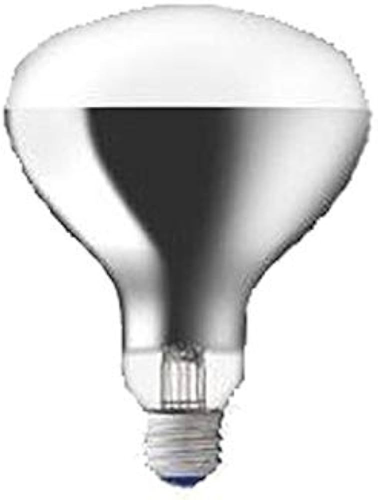 Amazon.co.jp: 岩崎電気 屋内投光用アイ ランプ 屋内用アイ ランプ