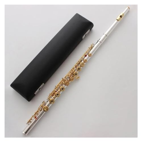 フルート ケース」の人気商品一覧 | 安い商品を通販サイトから探す