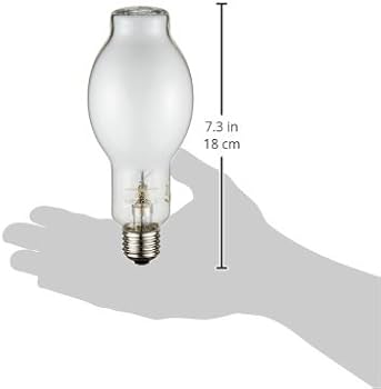 31RGbhSt68L._AC_UF350,