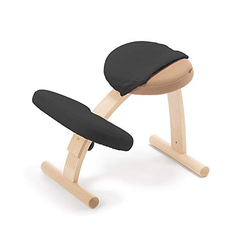 バランスイージー バランスチェア」の人気商品一覧 | 安い商品を通販