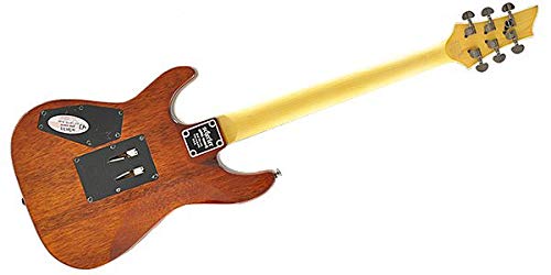 Amazon | SCHECTER (シェクター) エレキギター OMEN EXTREME-6 FR VSB