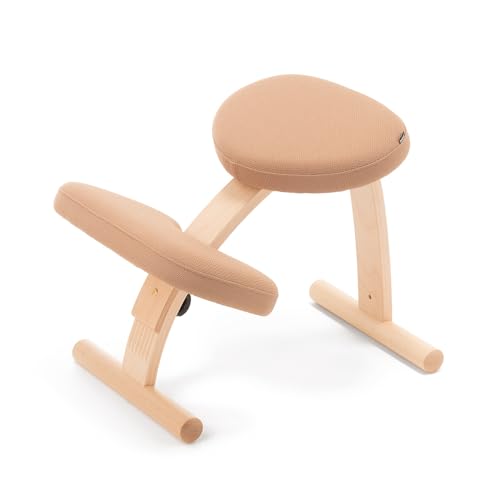 バランスイージー バランスチェア」の人気商品一覧 | 安い商品を通販