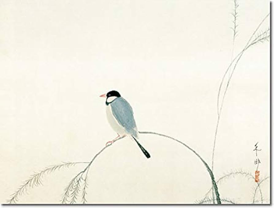 Amazon.co.jp: 掛け軸 掛軸 速水御舟（はやみぎょしゅう）・ ・ 文鳥