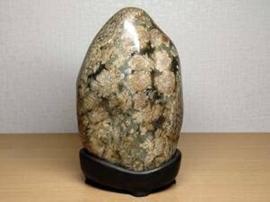 Amazon.co.jp: 津軽・花紋1.6kg 錦石 花紋石 菊紋石 ジャスパー 菊花石