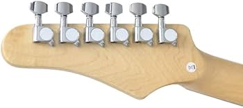 Amazon | PLAYTECH (プレイテック) エレキギター テレキャスタイプ