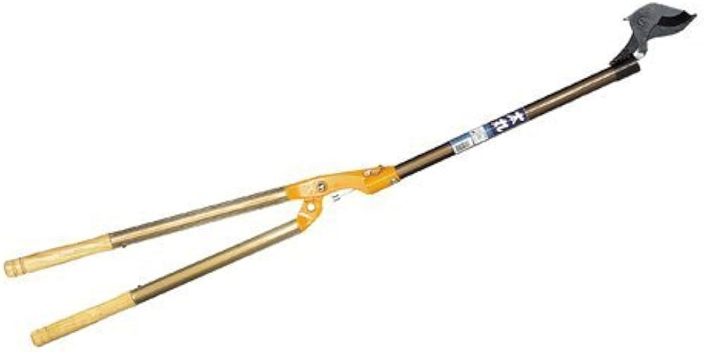 31dMQO-EhAL._AC_UF1000,