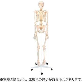 31dVggLEAxL._AC_UF350,