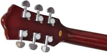 Amazon | PLAYTECH (プレイテック) セミアコースティックギター