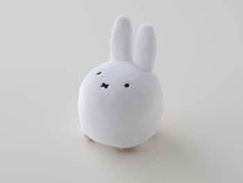 31f2A2BdkjL._AC_UF350,