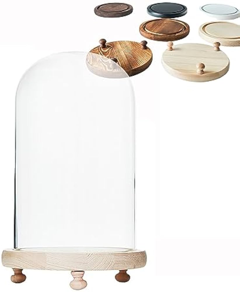 Amazon｜透明ガラスドーム 大 木製ベース ガラスカバー ガラスドーム