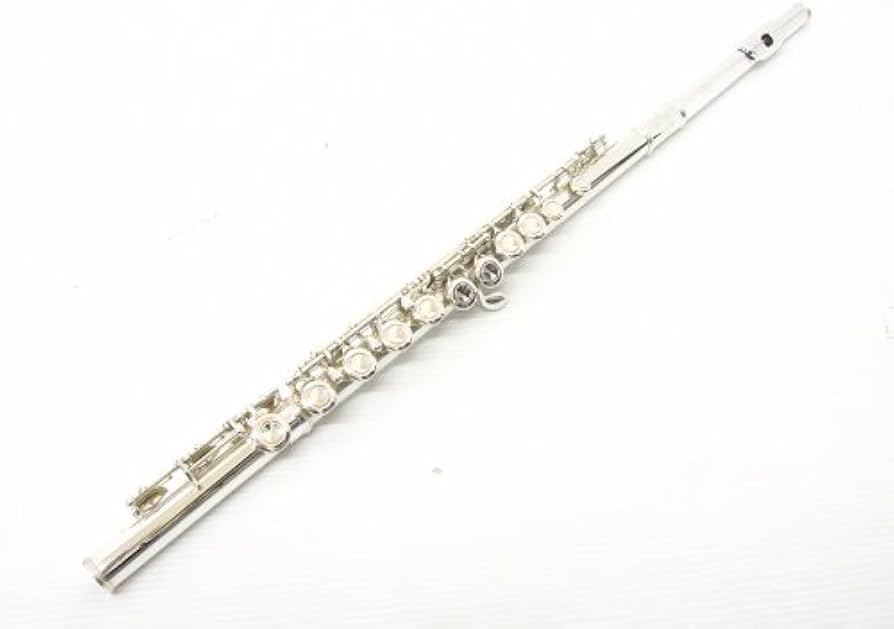 Amazon | YAMAHA ヤマハ YFL-221SII フルート | フルート | 楽器・音響機器