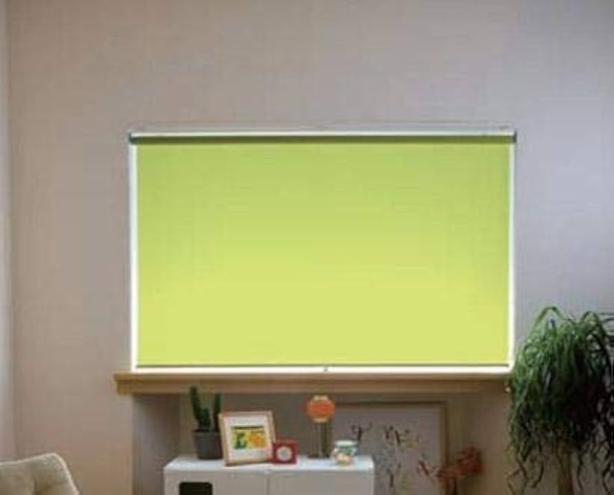 Amazon｜タチカワ TIORIOティオリオ ロールスクリーン無地