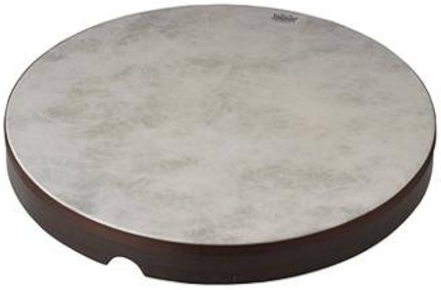 Amazon.com: Remo Fiberskyn 3 22