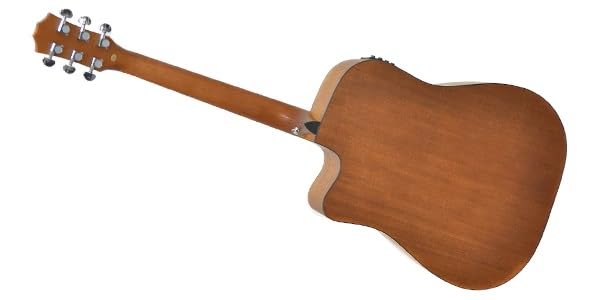 Amazon | PLAYTECH (プレイテック) エレクトリックアコースティック