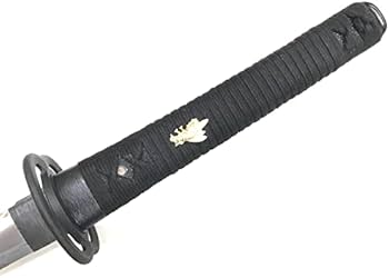 31rNjaChJYL._AC_UF350,