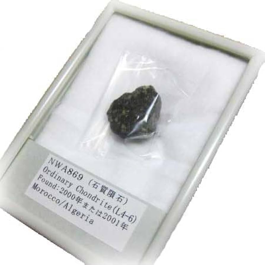 Amazon | SCIENCE 実物隕石標本「石質隕石 NWA869（North West Africa