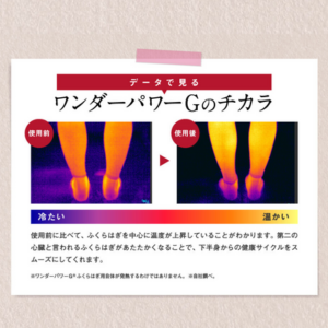 Amazon.co.jp: [レミントン] ワンダーパワーGふくらはぎ用 レッグ