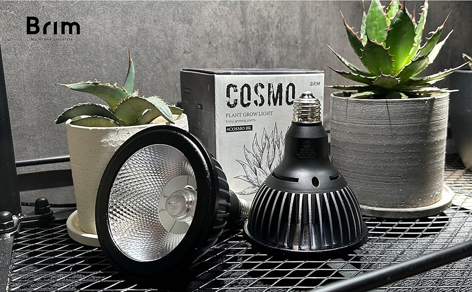 Amazon.co.jp: 【グリーンアドバイザー推薦】BRIM(ブリム) COSMO 植物