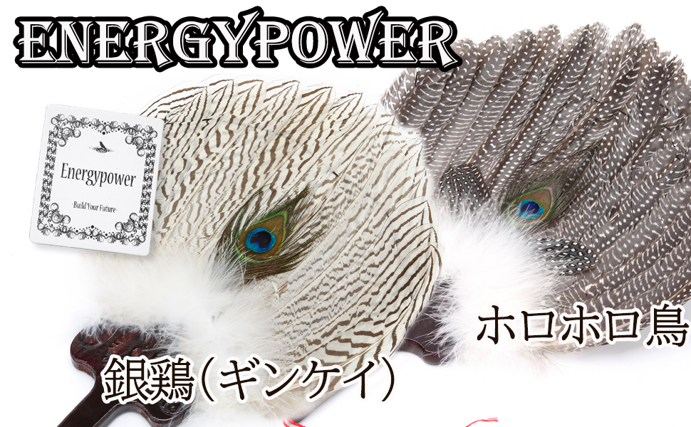 Amazon.co.jp: EnergyPower 三国志 諸葛孔明 高級羽扇子 中国武将の