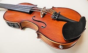 Amazon | Pretorio 5弦エレクトリック アコースティックバイオリン EV