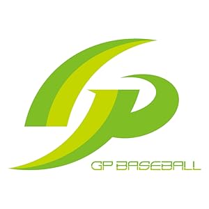 Amazon | 埼玉西武ライオンズ×GP(ジーピー) 野球 ストラックアウト