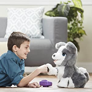Amazon.co.jp: ハズブロ(HASBRO) ファーリアル トリックラブ 子犬の