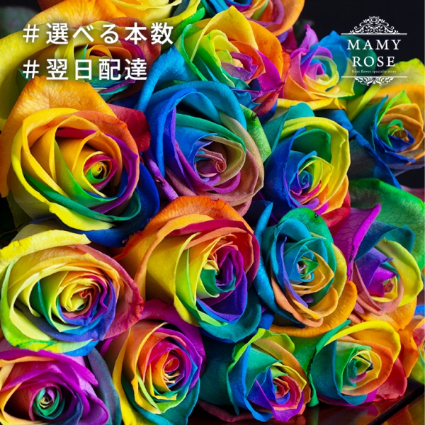 バラの花束専門店マミーローズ / バラの花束 【レインボー】 好きな