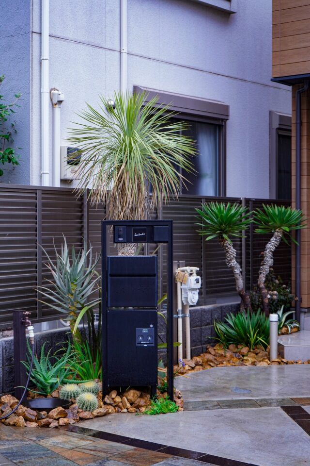 サボテンやロストラータを使ったドライガーデン 練馬区 - ドライ