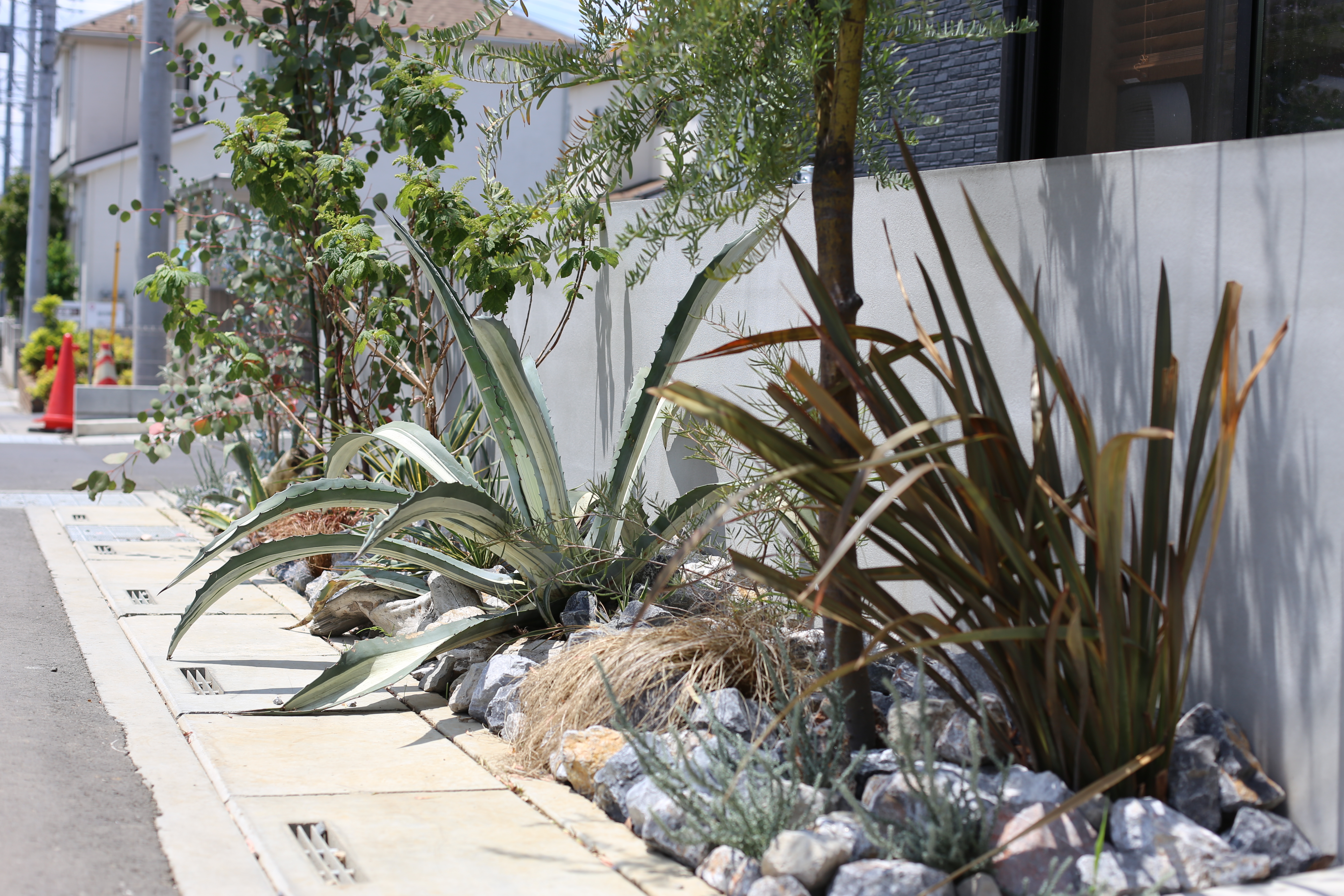 埼玉県春日部 ナチュラルドライガーデン ロックガーデン | mana's green