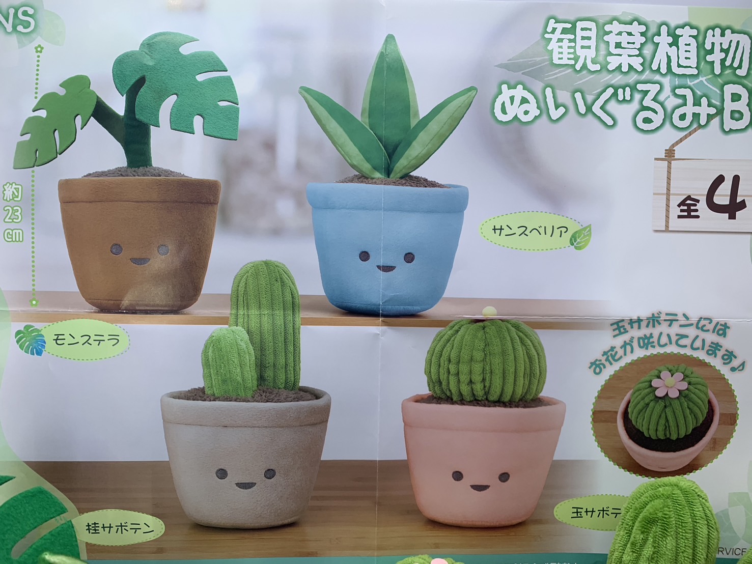 川内店】アミューズ 景品入荷情報《『観葉植物ぬいぐるみBIG』他