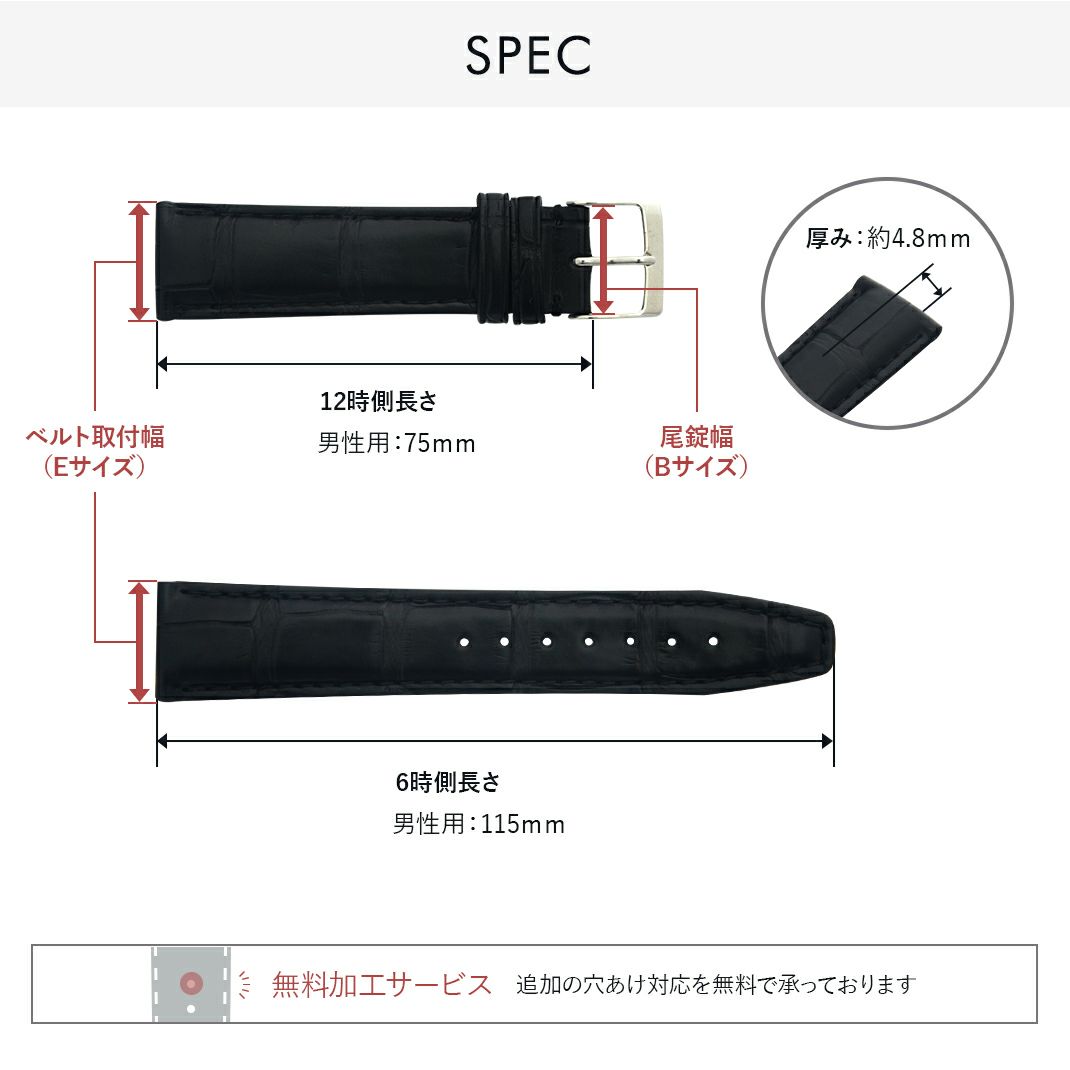 CASSIS カシス TYPE POR タイプ ピーオーアール アリゲーター ワニ革