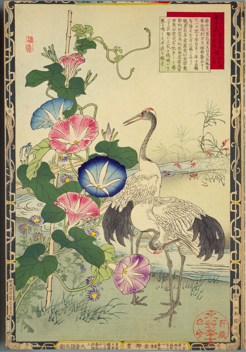楳嶺花鳥画譜 桜・鴎 | - Japaaan