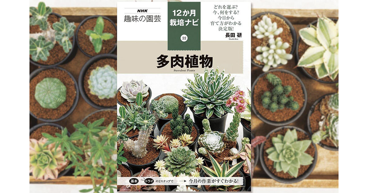 12か月栽培ナビ 多肉植物』著者・長田研さんに聞く 多肉植物の魅力と