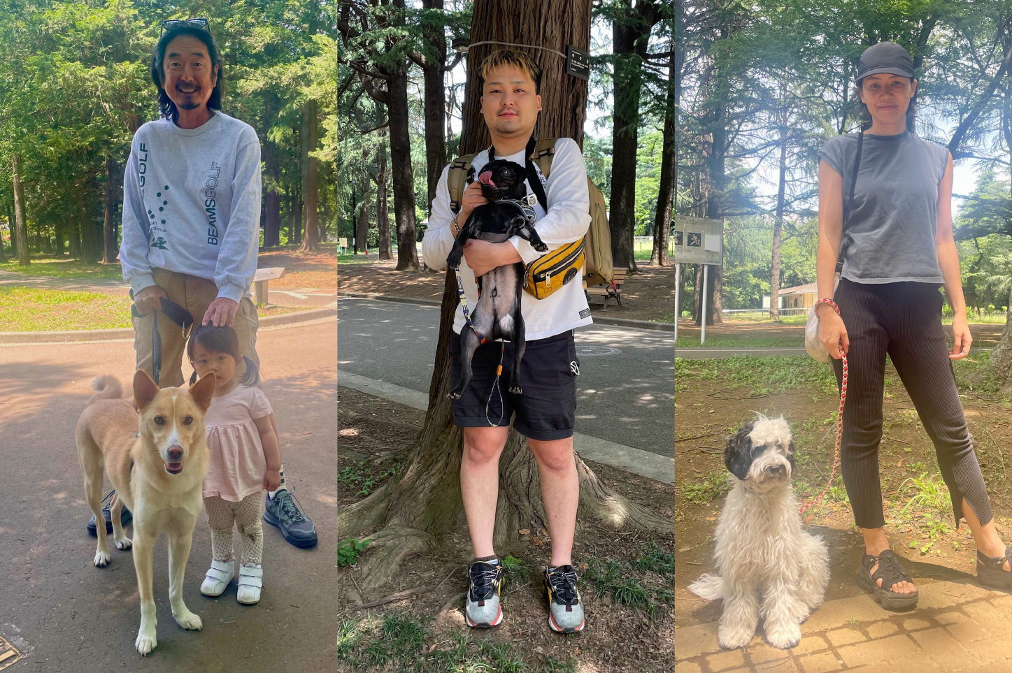 野犬・讃岐犬・パグ・オーストラリアンラブラドゥードルのおさんぽSNAP