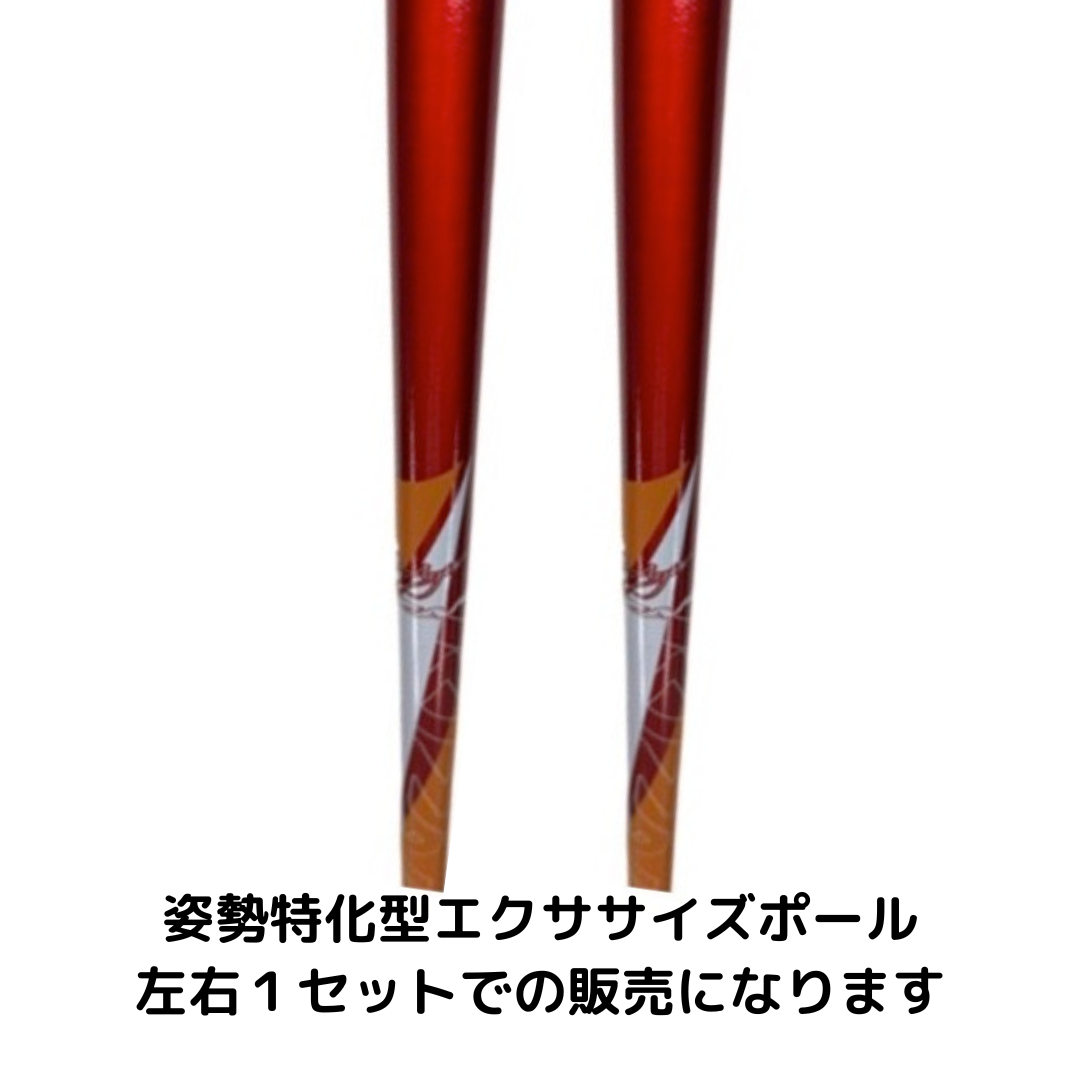 sisei_pole_red.png?v=1770532411