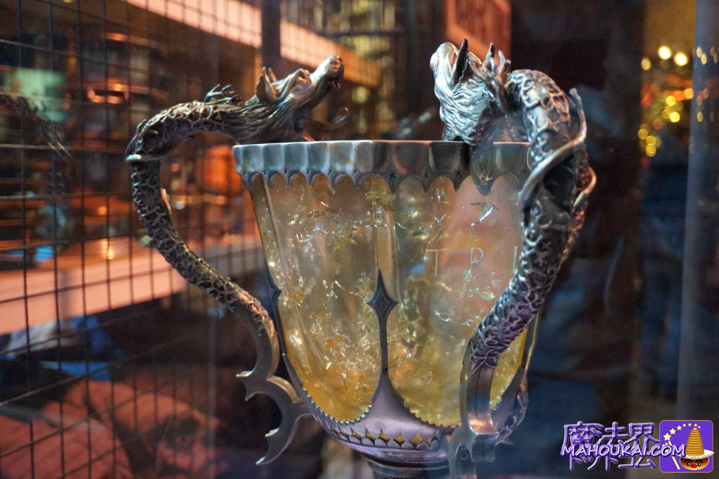 詳細】炎のゴブレット（The Goblet of Fire）とトライウィザード