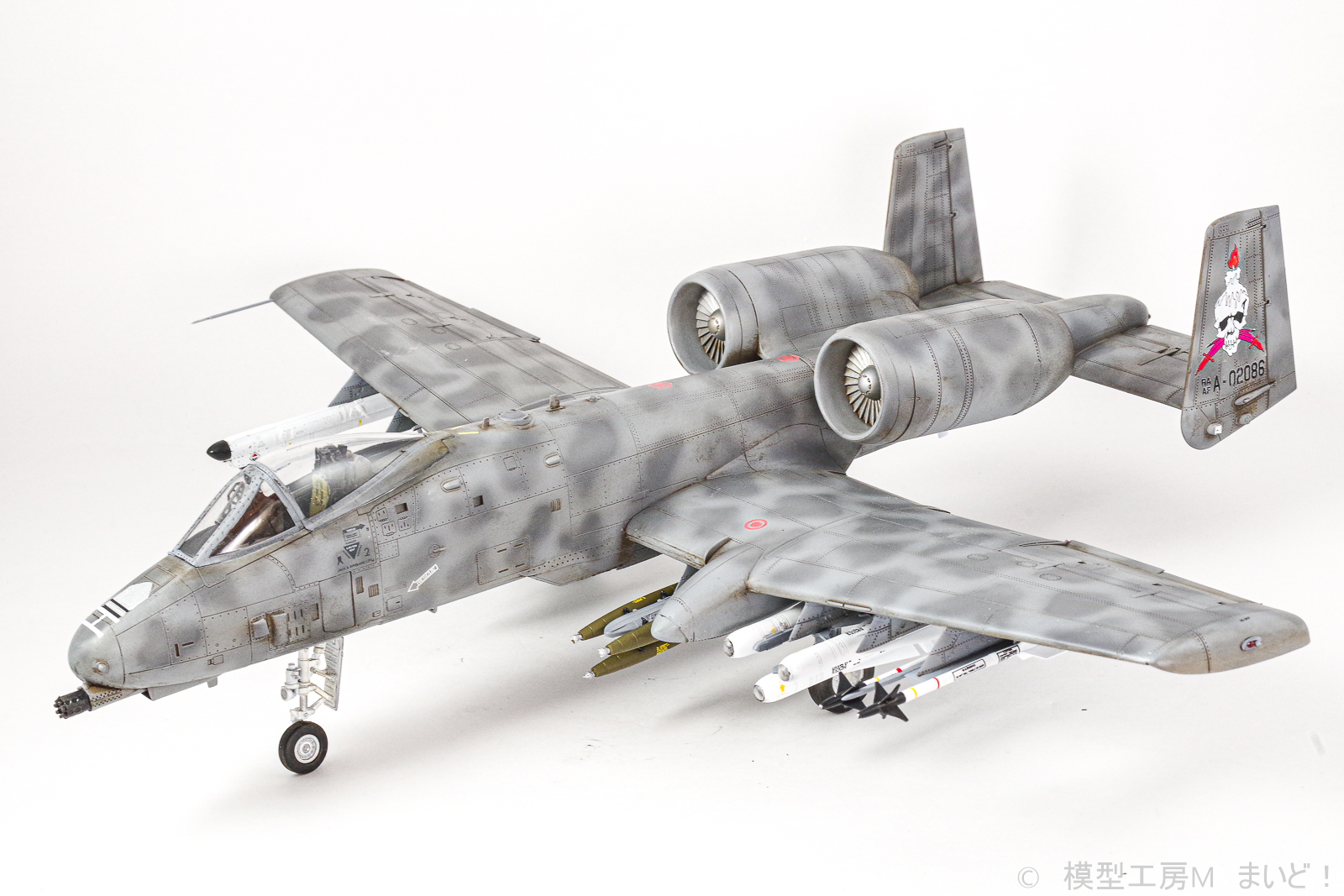 ホビーボス 1/48 A-10A エリア88 グレッグ機 完成 HOBBYBOSS Area88