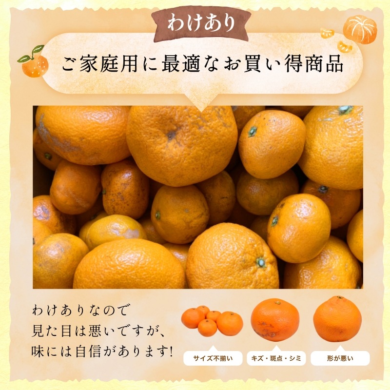 訳あり】三ケ日濃厚熟みかん「青島」8kg(サイズ不選別) - 浜名湖産直