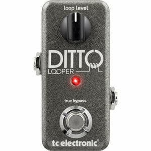 tc electronic / Ditto Looper ルーパー【国内正規品】 | ループ