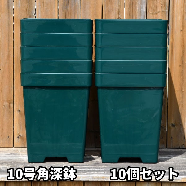 10角×10鉢セット】プレミアローズセレクション【10号角深鉢10鉢セット