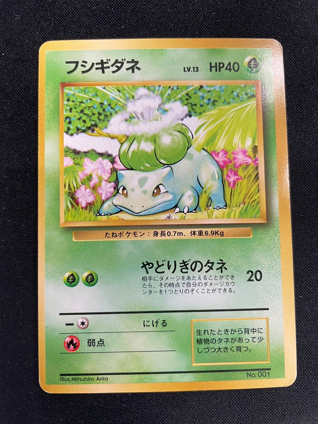 旧裏】【初版】フシギダネLV.13【状態C】